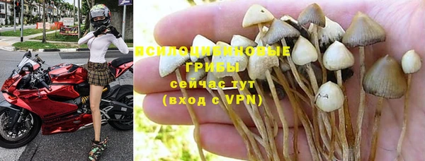 ALPHA-PVP Алексеевка