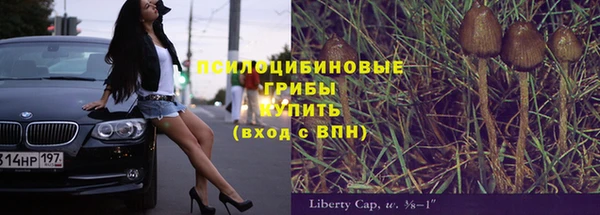 ПСИЛОЦИБИНОВЫЕ ГРИБЫ Алзамай