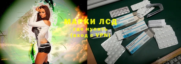 ПСИЛОЦИБИНОВЫЕ ГРИБЫ Алзамай