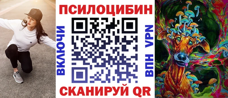 закладки  Кимры  Галлюциногенные грибы Psilocybine cubensis 